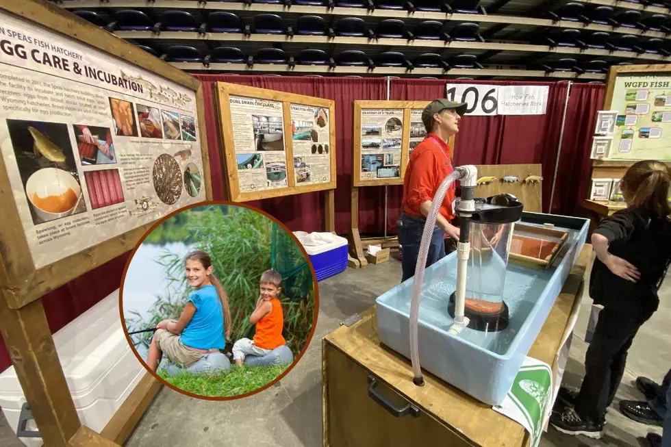 The 2022 Wyoming Outdoor Expo Was A Great Success