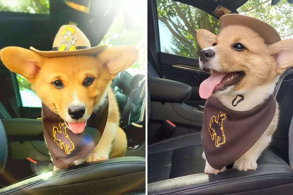 LOOK: Casper Resident Loves To Play Dress Up With Her Puppy