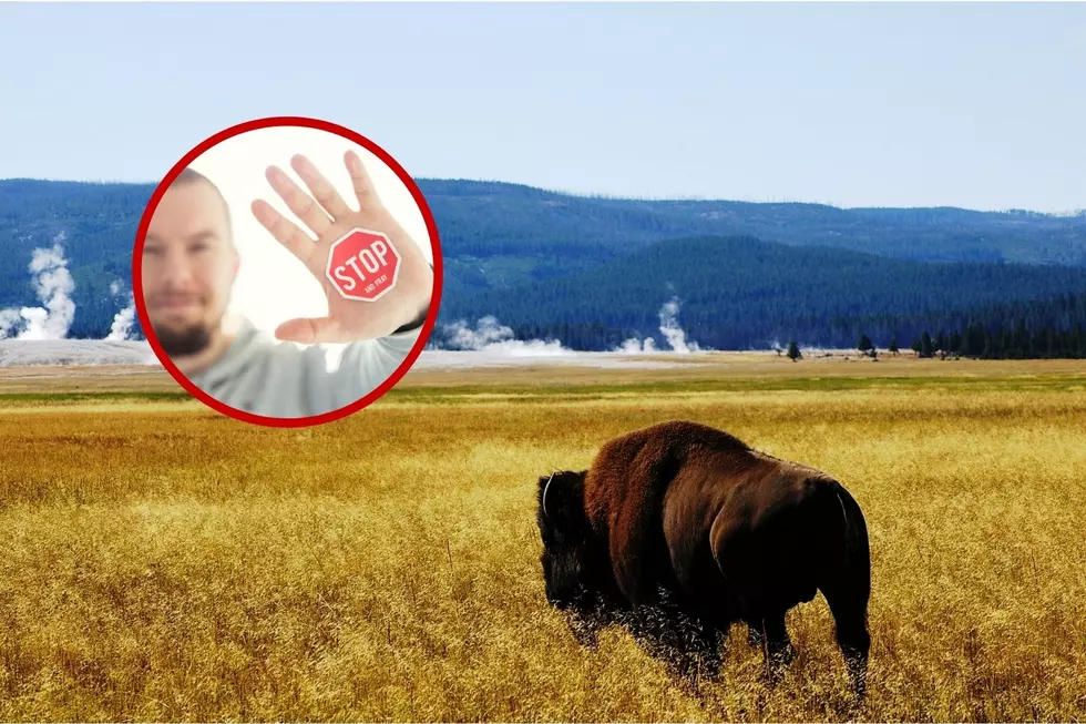 National Park Service Shares Hilarious Wildlife Safety Message