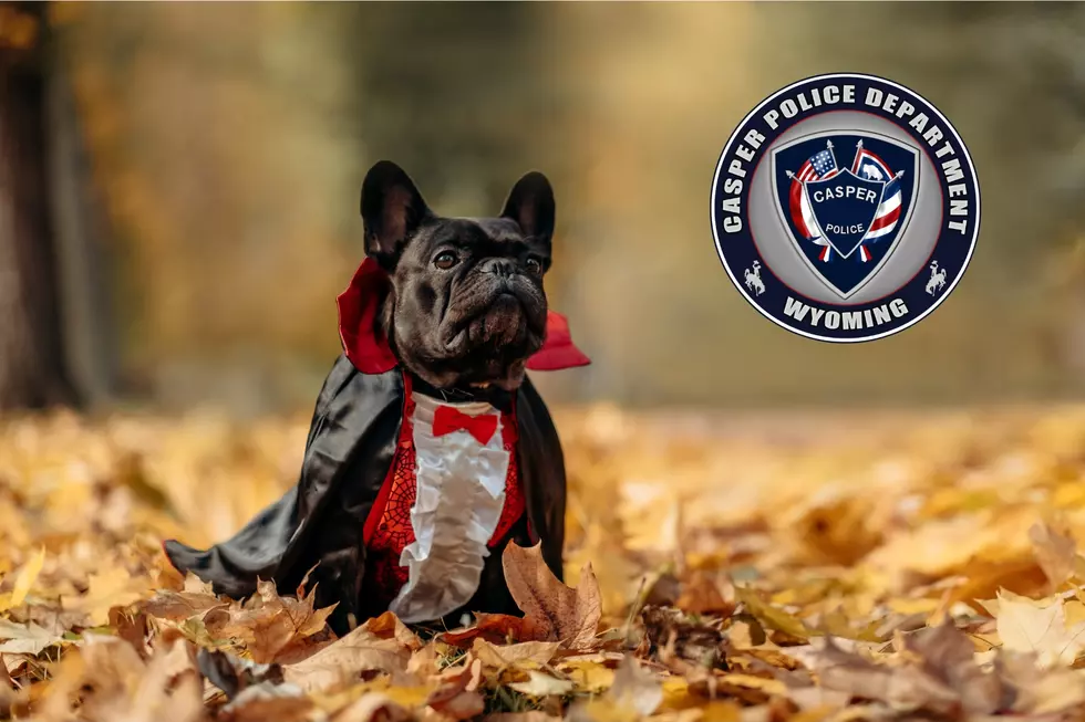 Casper Police Department Hosting ‘Howl-o-ween Pawty’ With Metro Animal Shelter
